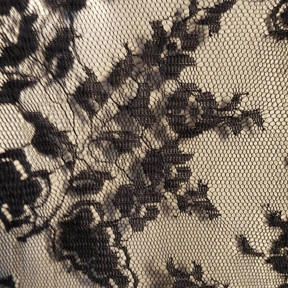 Lace Seethrough Blouse - Picture 4 of 5